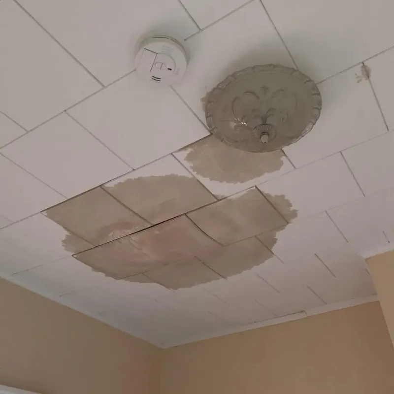 Ceiling Water Damage Repair in Saint Joseph, LA