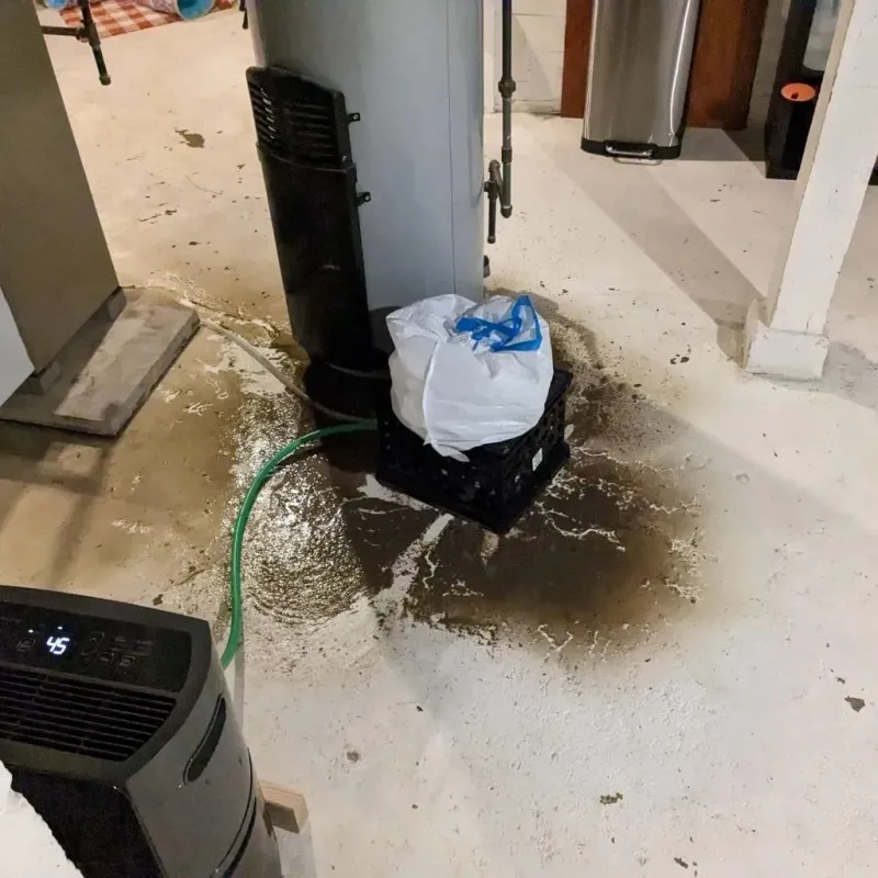 Sewage Backup Cleanup Service in Saint Joseph, LA